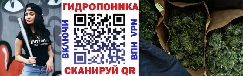 Купить наркотики цена Гурьевск СК  Галлюциногенные грибы  Бутират  Мефедрон 
